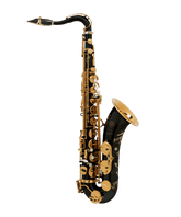 Saxofon Tenor Selmer Paris Signature 84SIG