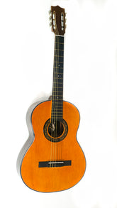 Guitarra Acústica Nacional GTCP + Estuche Lona