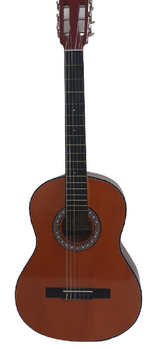 Guitarra Acústica Nacional GTMS- Con Estuche Lona