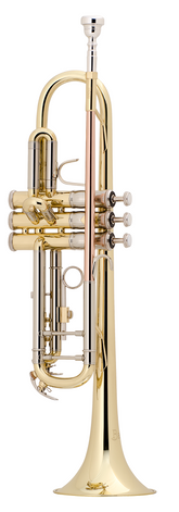 Trompeta Selmer Bach TR500 Bb
