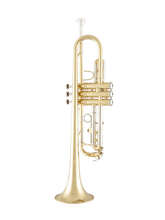 Trompeta Prelude By Selmer PTR111 - Estuche y Accesorios
