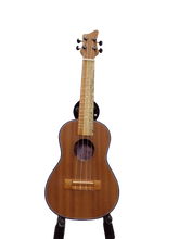 Ukelele Concierto Enchapado con estuche