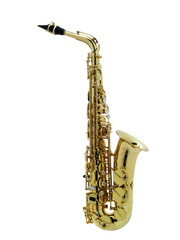 Saxo Alto Selmer Paris 52AXOS Profesional