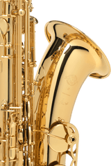 Saxofon Tenor Selmer Paris 54AXOS Profesional