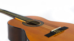 Guitarra Acústica Nacional GTCP + Estuche Lona