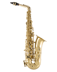 Saxo Alto Selmer SAS711 - Con Estuche