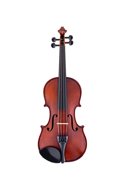 Gewa Violín Hill Boj 4/4 - Cuerda Para Violín Profesional De 108 Cm