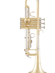 Trompeta Prelude By Selmer PTR111 - Estuche y Accesorios