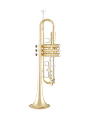 Trompeta Prelude By Selmer PTR111 - Estuche y Accesorios