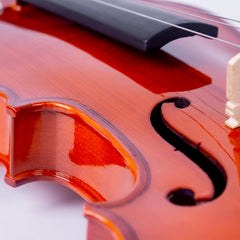 Violin Aristton 4/4 Macizo - Kit Iniciación