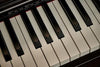 Piano Digital Casio Celviano AP-S450