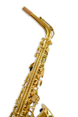 Saxofon Alto Aristton 6430L - Incluye Accesorios